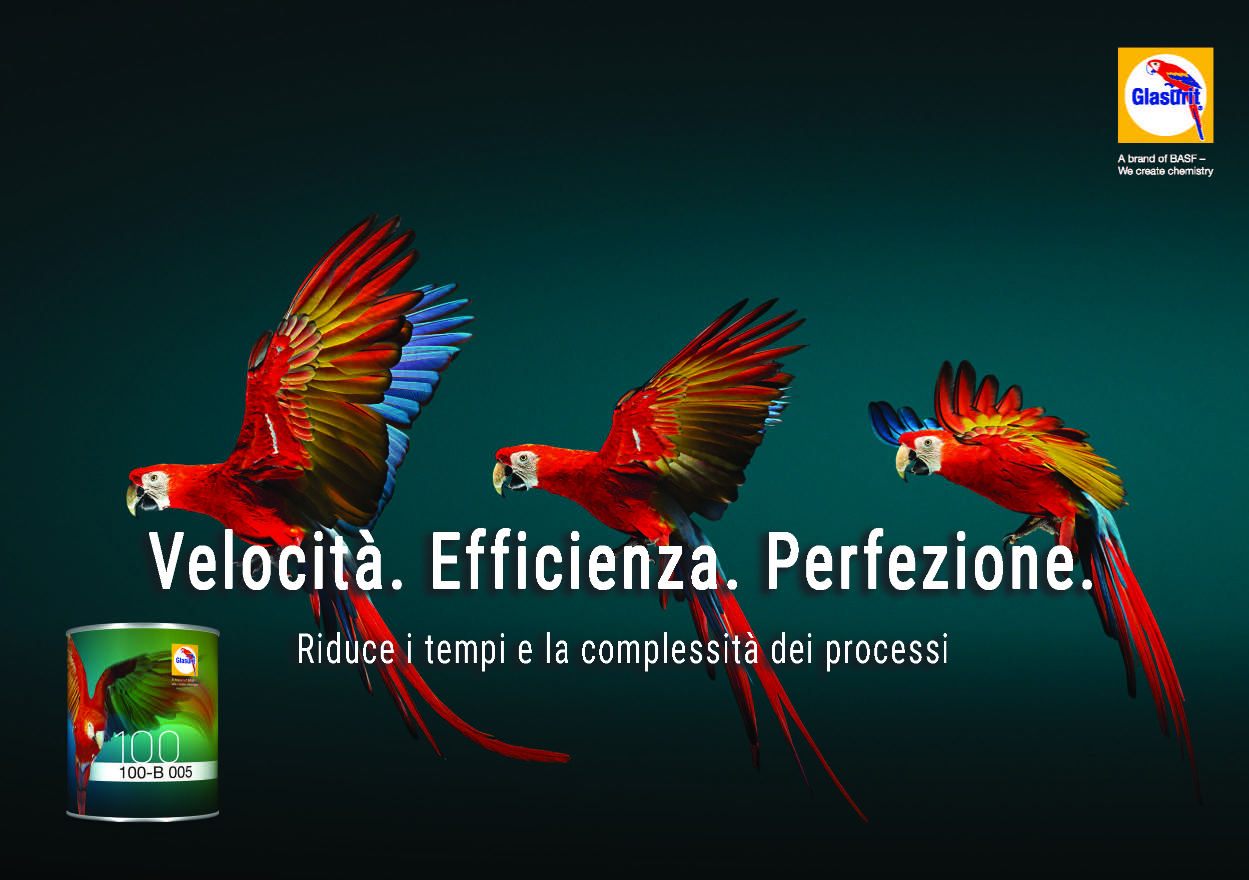Nuove Verniciature Auto